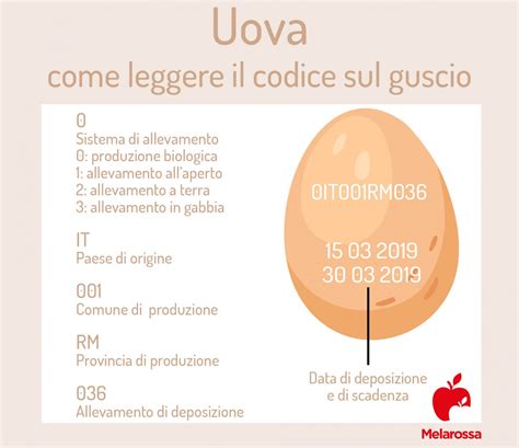 Uova fresche con indicazioni sul guscio