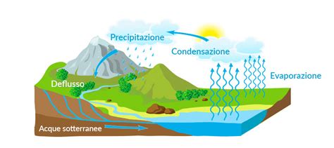 diagramma del ciclo dell'acqua e potenziali fonti di contaminazione fecale