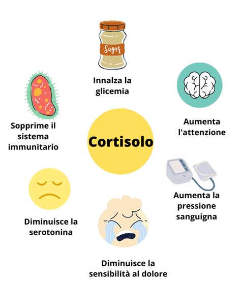 Effetti del cortisolo sul feto