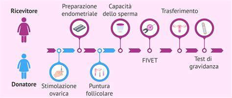 rappresentazione concettuale del processo di ovodonazione e fecondazione in vitro