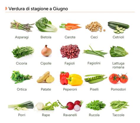 Varietà di verdure per lo svezzamento