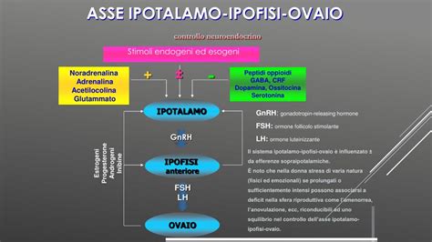 schema dell'asse ipotalamo-ipofisi-ovaio nel bovino