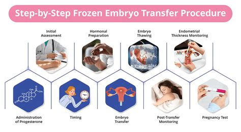 Embryo transfer process