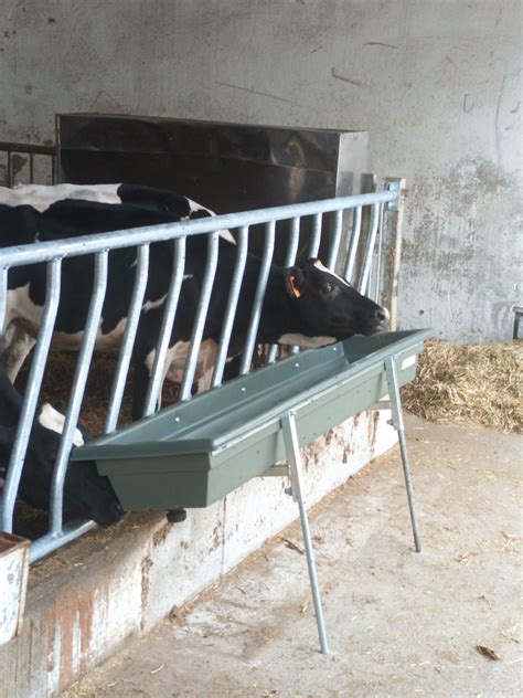 Diversi tipi di mangiatoie per vitelli