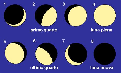 Le quattro fasi principali della Luna: Novilunio, Primo Quarto (Crescente), Plenilunio, Ultimo Quarto (Calante)
