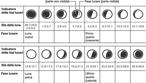 Grafico che mostra la distribuzione delle nascite in diverse fasi lunari senza correlazione