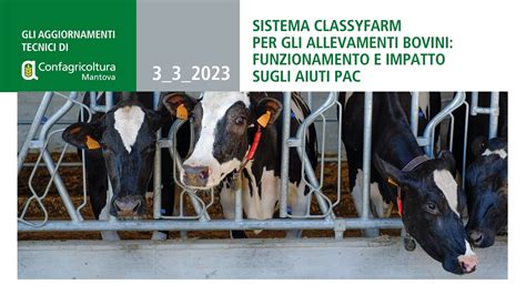 diagramma che confronta l'allattamento naturale vs artificiale negli allevamenti bovini