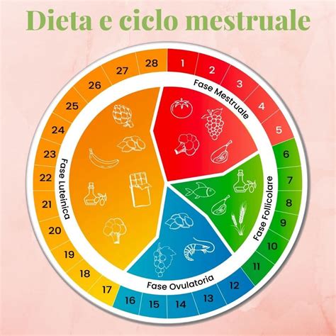 rappresentazione del ciclo ormonale femminile e impatto dei minerali