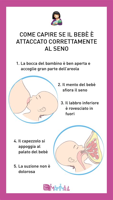 illustrazione anatomica della meccanica di suzione al seno vs biberon
