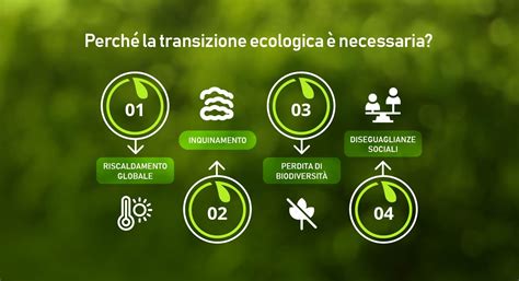schema grafico sulla strategia di transizione verso l'allattamento esclusivo
