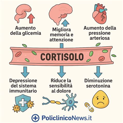 Infografica melatonina cortisolo