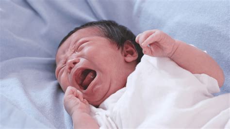 Genitore stressato con neonato che piange