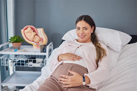rappresentazione schematica dell'utero con camera gestazionale nelle prime fasi di sviluppo