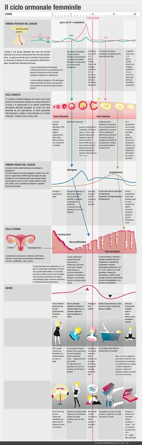 rappresentazione grafica del ciclo ormonale femminile dopo un aborto