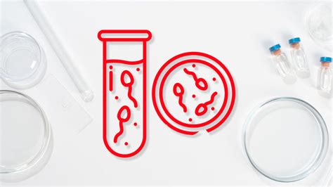 Schema dei vari test di analisi del liquido seminale