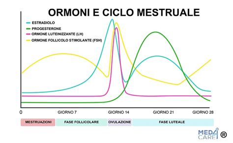 grafico comparativo tra ormoni nel ciclo naturale e durante la stimolazione