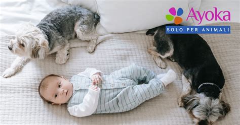 Bambino riposa comodamente in un ambiente sicuro
