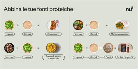 infografica che confronta il profilo aminoacidico delle principali fonti proteiche vegetali