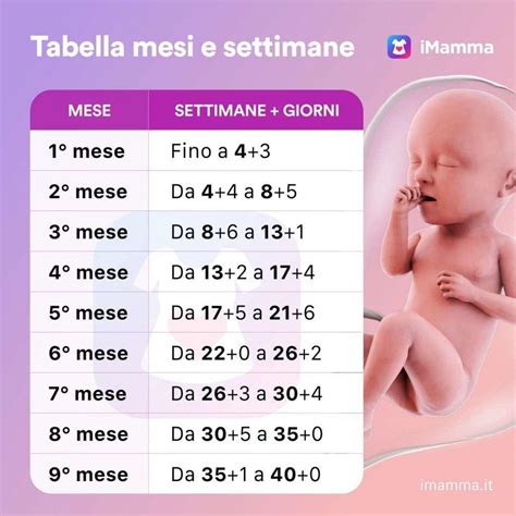 Schermata dell'app iMamma che mostra il calendario settimanale della gravidanza