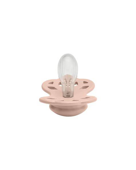 illustrazione di un set di ciucci per l'alimentazione in silicone con frutta fresca