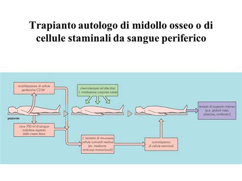 grafico che illustra le differenze tra trapianto autologo ed eterologo