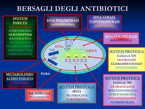 grafico che illustra le diverse classi di antibiotici e la loro sicurezza in gravidanza