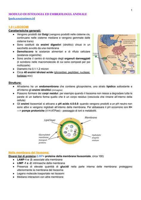 Schema illustrativo di un laboratorio di embriologia con tecnologie di ultima generazione