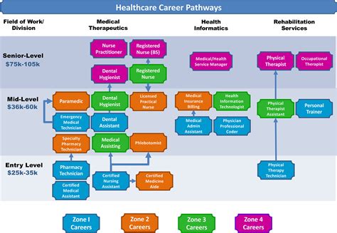 Diagram illustrating various health professions pathways