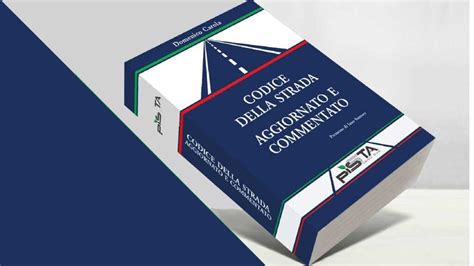 Articolo 172 del Codice della Strada
