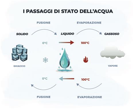 Infografica che illustra i rigorosi passaggi di selezione di un donatore di gameti