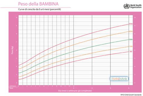Grafico che mostra l'evoluzione della crescita di un neonato nei primi 6 mesi