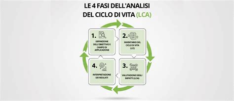 infografica che mostra le fasi di accesso alla Culla per la Vita e il percorso del neonato verso l'adozione
