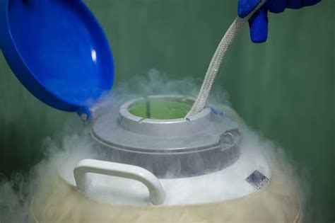 Crioconservazione tessuto testicolare