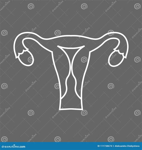 Illustrazione stilizzata di un utero con due placente, una per ogni gemello