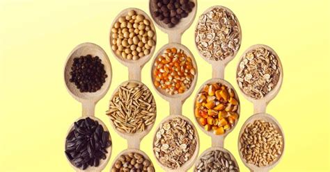 Varietà di semi e pellet per criceti