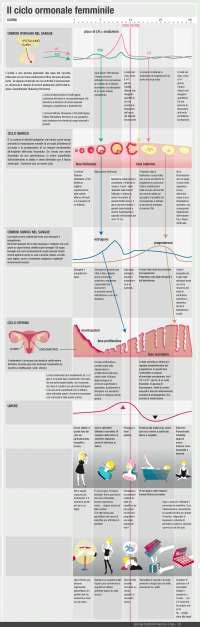 rappresentazione schematica del ciclo ormonale femminile dopo un evento traumatico