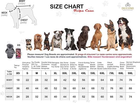 Tabella taglie passeggini per cani