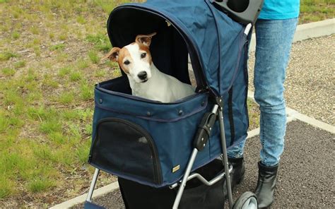 Proprietario che piega un passeggino per cani