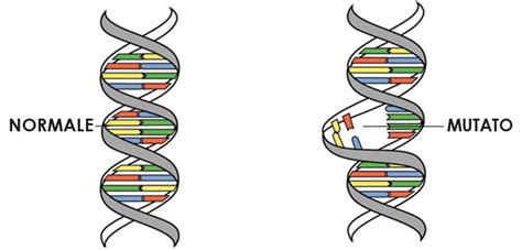 Illustrazione del DNA e delle mutazioni genetiche che influenzano il colore della pelle