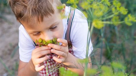 bambini che annusano erbe aromatiche