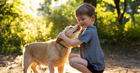 Bambino e animale domestico