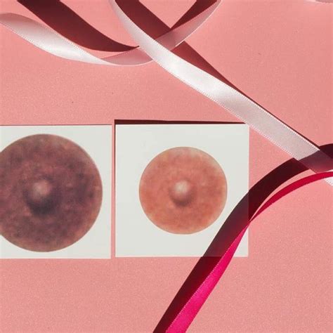 Diagramma anatomico del seno femminile con areola e capezzolo