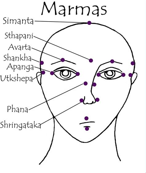 rappresentazione stilizzata di un punto marma sul naso secondo la medicina ayurvedica