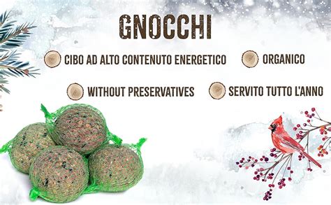 Varietà di cibo per uccelli