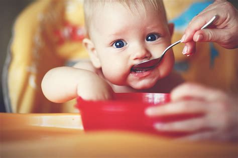 Alimenti da evitare durante lo svezzamento