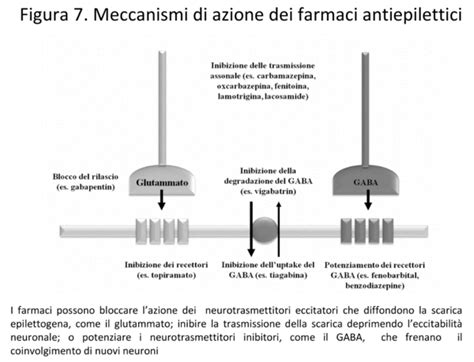 Figura: Meccanismo d'azione dei farmaci per l'aborto medico