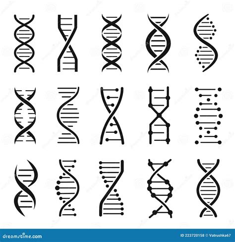 rappresentazione stilizzata del DNA e della struttura cromosomica umana