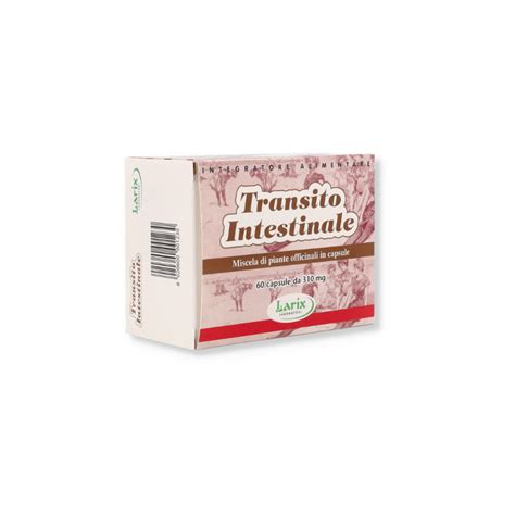 diagramma transito intestinale