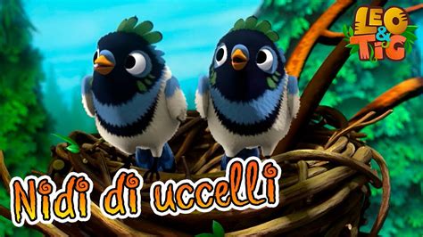 confronto tra nidi di uccelli protetti termicamente e nidi esposti a stress ambientale