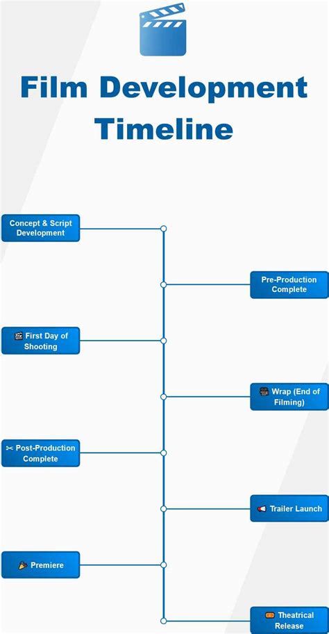 infografica sulle fasi di produzione e distribuzione di un video per adulti